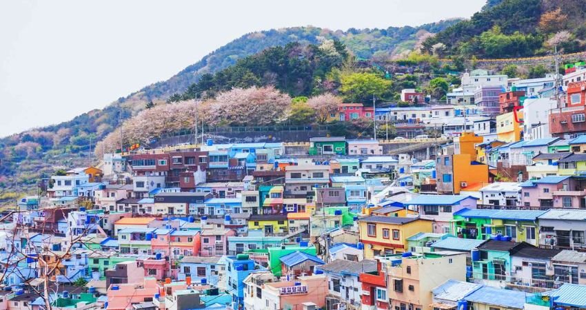 Delta Airlines Busan Office in South Korea