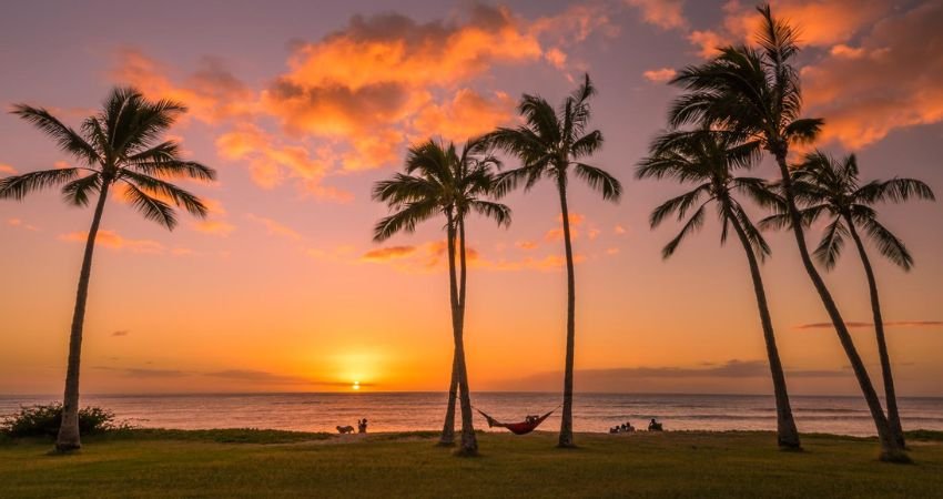 Delta Airlines Honolulu Office in Hawaii