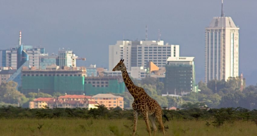 Delta Airlines Nairobi Office in Kenya